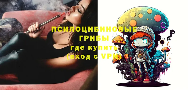 Псилоцибиновые грибы Magic Shrooms  Грязовец 